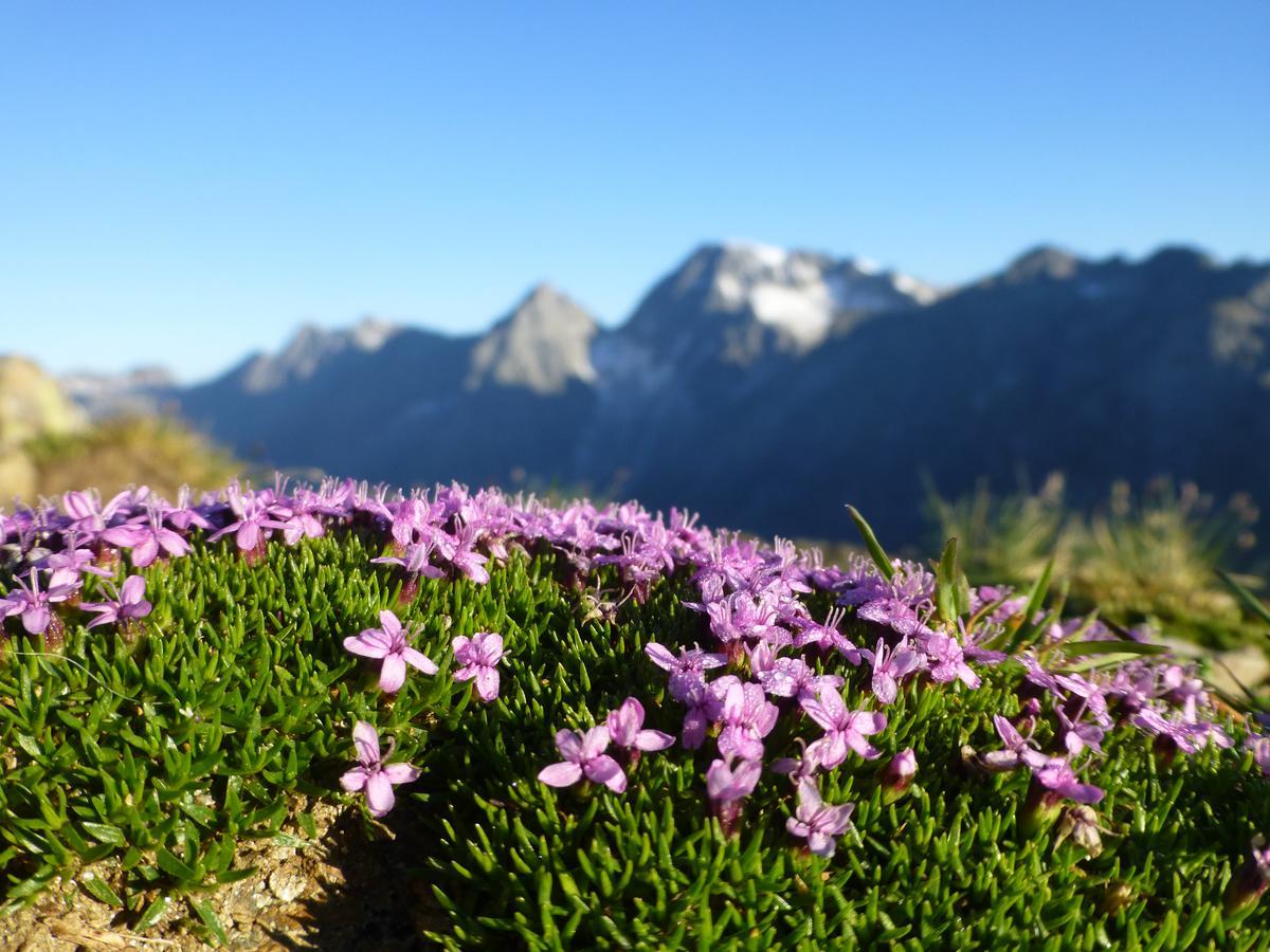 Gasthof Pension Kohlplatzl Hopfgarten in Defereggen Exteriér fotografie